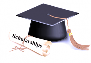 Scholarship Link Building